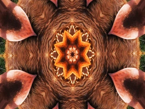 Kaleidoscopic abstract video Stock Footage 71315633