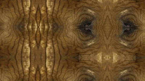 Kaleidoscopic background pattern using macro photography of the creases Stock Footage 308531714