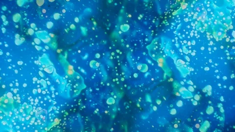 Kaleidoscopic Fabulous Patterns Stock-Footage 80793839