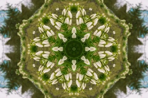 Kaleidoscopic flower pattern Stock Illustration