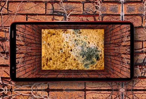 Kaleidoscopic gradient 3D view of old tunnel with brick wall, dry ivy and bot Stock Photos