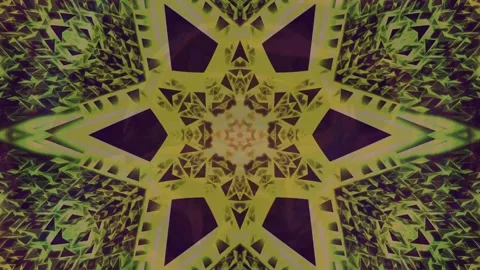 Kaleidoscopic Mandala with Nature Elements 库存影片 331358255