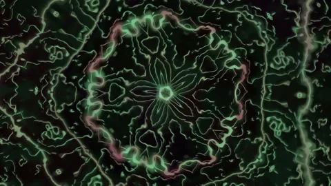 Kaleidoscopic pattern with swirling lines and geometric Stock Footage 340022028