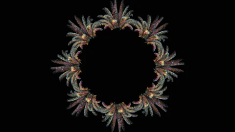 Kaleidoscopic reflection of abstract palm branch on a black background. Stock Footage 125950482