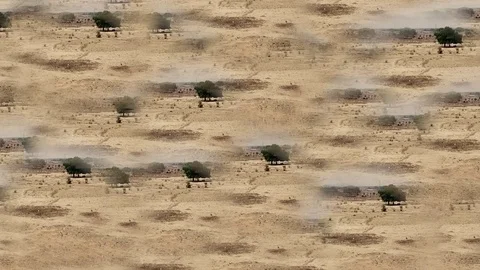 Kaleidoscopic trees in the desert Stock Footage 80343363