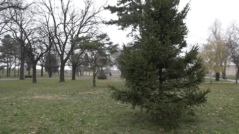 Kalemegdan park in Belgrade 動画素材 70488028