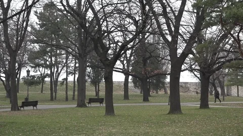 Kalemegdan park in Belgrade 動画素材 70488082