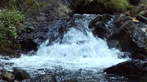 Kalibanteng river stream become small waterfall on the black rock Stock Footage 124950904