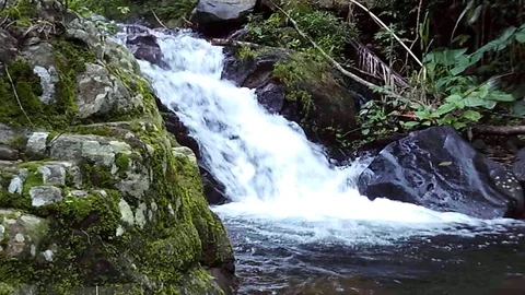 Kalibanteng waterfall stream on river mountain on java, indonesia Stock Footage 124892207