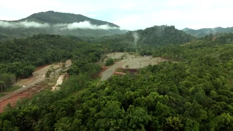 KALIMANTAN RAIN FOREST Stock Footage 247872111
