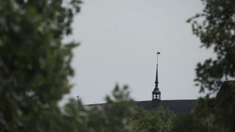 Kaliningrad, cathedral, green trees, clock on the tower Stock Footage 278396925