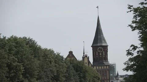 Kaliningrad, cathedral, green trees, clock on the tower Stock Footage 278396954