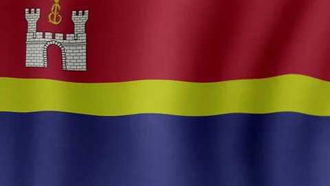 Kaliningrad Oblast. The flag flutters in the wind Stock Footage 206437634