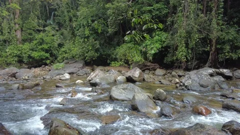 Kallar Meenmutty river, dense forest in Thiruvananthapuram, Kerala Stock Footage 225231064