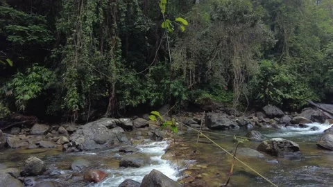 Kallar Meenmutty river, dense forest in Thiruvananthapuram, Kerala Stock Footage 225231268