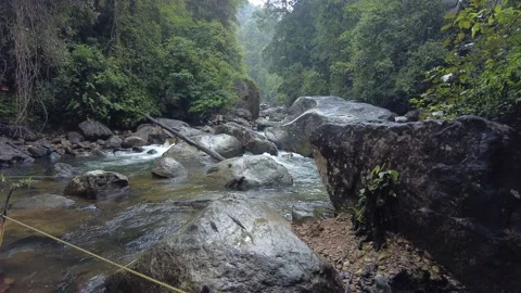 Kallar Meenmutty river, dense forest in Thiruvananthapuram, Kerala Stock Footage 225231408