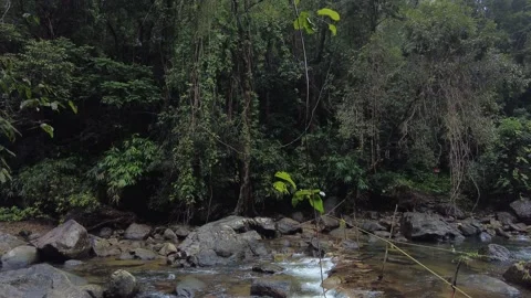 Kallar Meenmutty river, dense forest in Thiruvananthapuram, Kerala Stock Footage 225231588