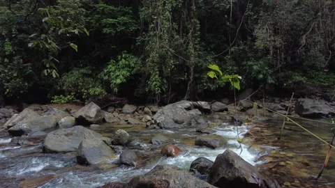 Kallar Meenmutty river, dense forest in Thiruvananthapuram, Kerala Stock Footage 225231761