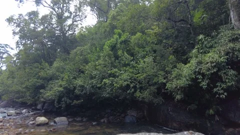 Kallar Meenmutty river, dense forest in Thiruvananthapuram, Kerala Stock Footage 225233484