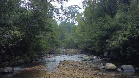 Kallar Meenmutty river, dense forest in Thiruvananthapuram, Kerala Stock Footage 225233714