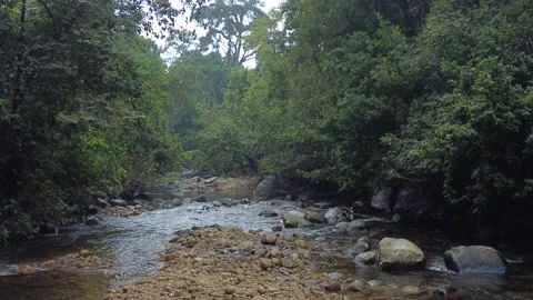 Kallar Meenmutty river, dense forest in Thiruvananthapuram, Kerala Stock Footage 225233842