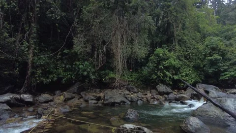 Kallar Meenmutty river, dense forest in Thiruvananthapuram, Kerala Stock Footage 225234779