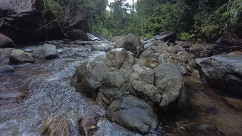 Kallar Meenmutty river, dense forest in Thiruvananthapuram, Kerala Video stock 225235041