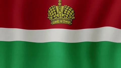 Kaluga Oblast. The flag flutters in the wind Stock Footage 206440746