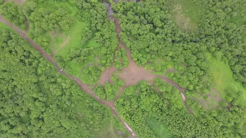 KAMCHATKA: DOWN TO THE FOREST IN THE SKY Stock Footage 157097520