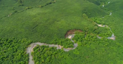 Kamchatka Peninsula dense green forest and nature, Aerial view Stock Footage 290161523