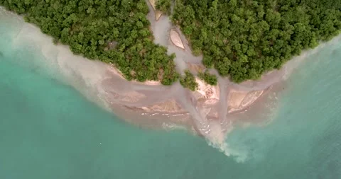 Kamchatka Peninsula dense green forest and nature, Aerial view Stock Footage 291624232