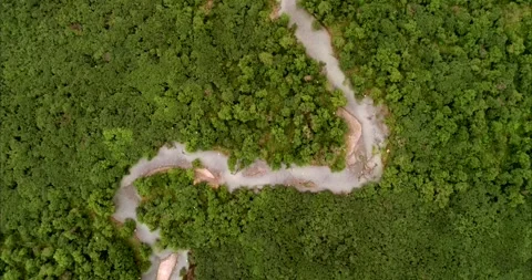 Kamchatka River Winding Through Thick Green Forest Aerial Drone Shot 4k Vídeo Stock 338262433