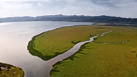 Kamchatka wild nature Video stock 137012828