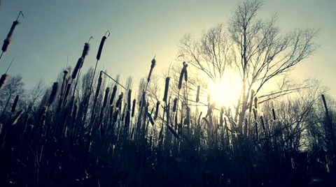 Kamishi 4 pan slow.mp4 Stock Footage 38868262