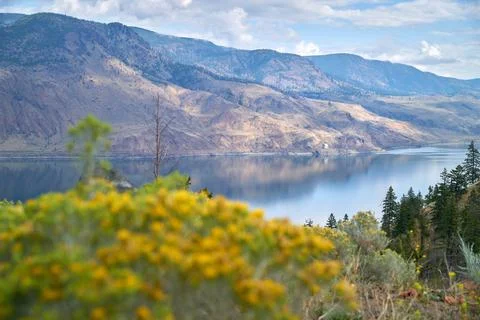 Kamloops Lake Reflection Canada Fotos Stock