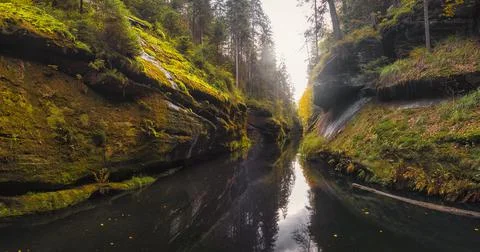 The Kamnitz Gorge - river flowing through rocky ravine in Bohemian Switzerlan Stock Photos