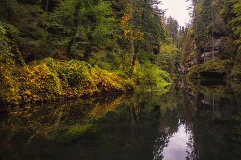 The Kamnitz Gorge - river flowing through rocky ravine, Czech Republic. Stock Photos