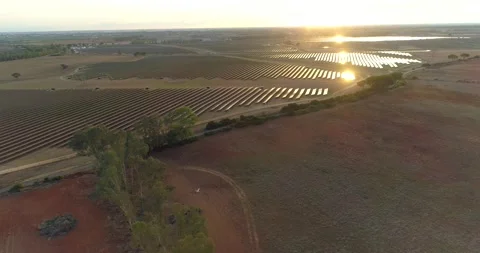 Kamorebi Stock Footage 162347561