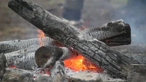 Kamp fire Stock Footage 220497043