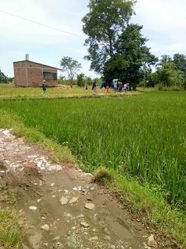 Kampung halaman Foto stock