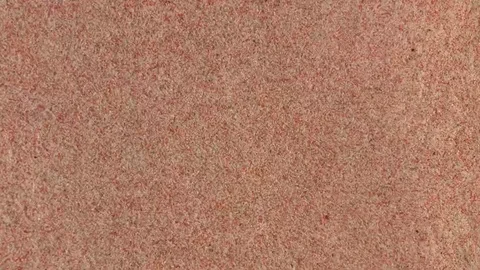 KAN KOMODO PINK BEACH Stock Footage 94575361