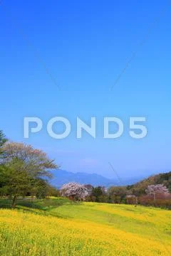 Kanagawa Prefecture, Japan Stock Photos