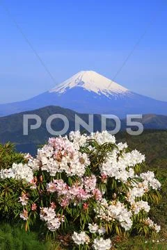 Kanagawa Prefecture, Japan Stock Photos