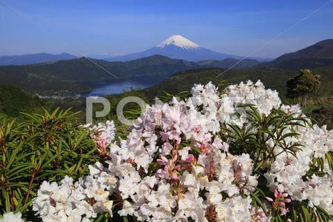 Kanagawa Prefecture, Japan Stock Photos