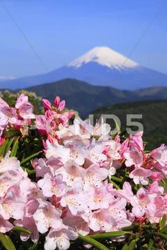 Kanagawa Prefecture, Japan Stock Photos