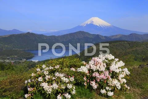 Kanagawa Prefecture, Japan Stock Photos