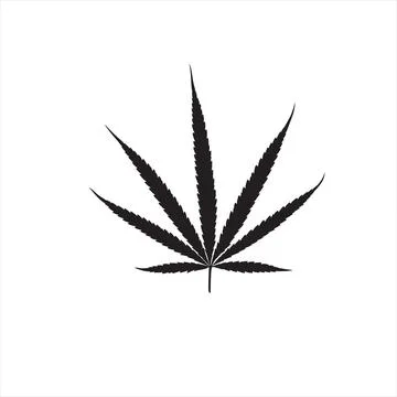 Kancha leaf Stock Illustration