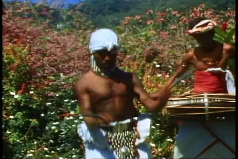 KANDY, SRI LANKA, 1982, The fire eater brushes the flame across his chest and Stock-Footage 10846135