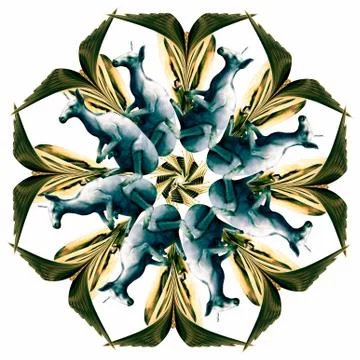 Kangaroo and mandala seamless work Illustrazione stock