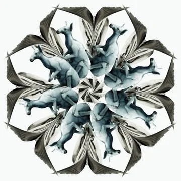 Kangaroo and mandala seamless work Stock Illustration
